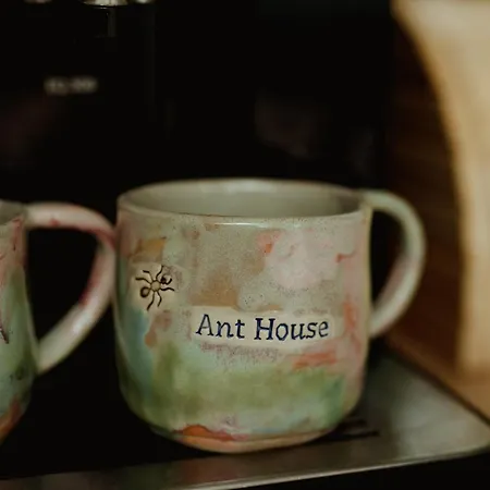 Ant House Complex - Luksusowe